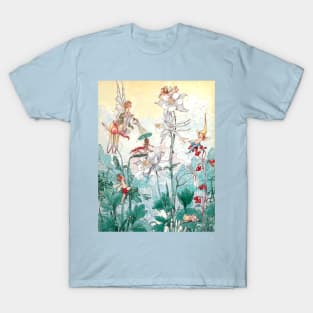 Columbine Flower Fairies - Harold Gaze T-Shirt